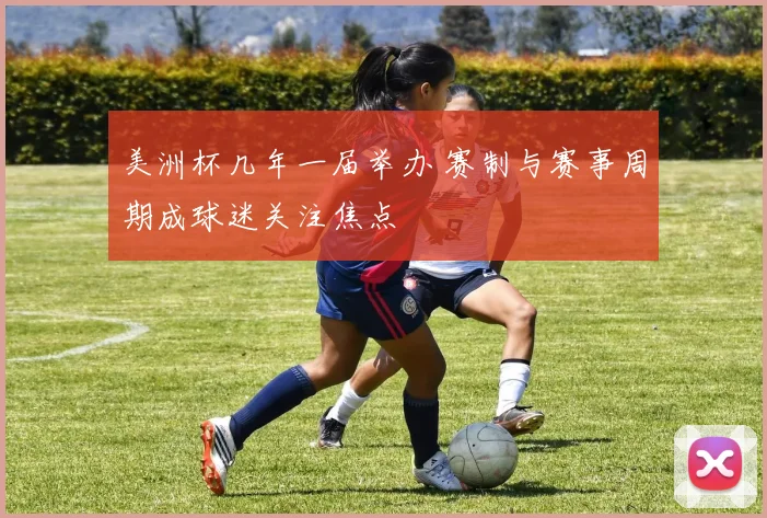 美洲杯几年一届举办 赛制与赛事周期成球迷关注焦点