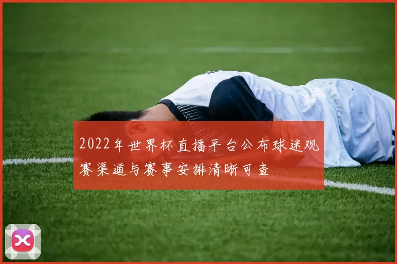 2022年世界杯直播平台公布球迷观赛渠道与赛事安排清晰可查