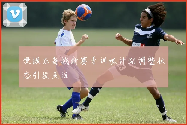 樊振东备战新赛季训练计划调整状态引发关注