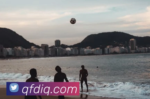 世界杯官方入口平台生态图